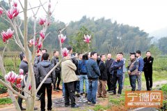 将向全国电视不雅众充实展现“福鼎白茶”盛况